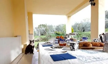 Casa Del Tesoro Tavullia
